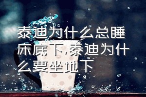 泰迪为什么总睡床底下（泰迪为什么要坐地下）