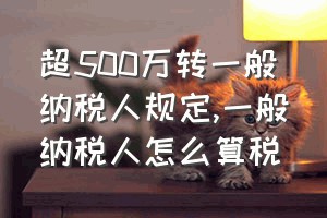 超500万转一般纳税人规定（一般纳税人怎么算税）