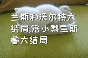 兰斯和沃尔特大结局（洛小梨兰斯睿大结局）