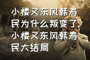 小楼又东风韩寿民为什么叛变了（小楼又东风韩寿民大结局）