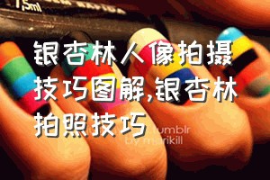 银杏林人像拍摄技巧图解（银杏林拍照技巧）