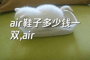 air鞋子多少钱一双（air）