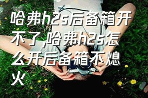 哈弗h2s后备箱开不了（哈弗h2s怎么开后备箱不熄火）