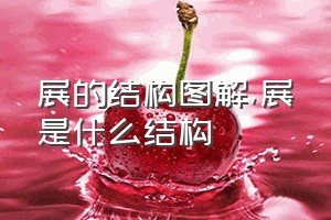 展的结构图解（展是什么结构）