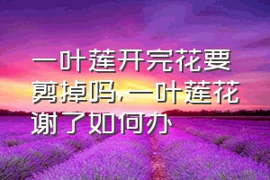 一叶莲开完花要剪掉吗（一叶莲花谢了如何办）