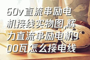 60v直流串励电机接线实物图（辉力直流串励电机900瓦怎么接电线）