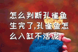 怎么判断孔雀鱼生完了（孔雀鱼怎么入缸不活泼）