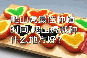 爬山虎最佳种植时间（爬山虎栽种什么地方好?）