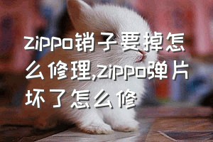 zippo销子要掉怎么修理（zippo弹片坏了怎么修）