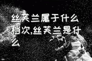 丝芙兰属于什么档次（丝芙兰是什么）