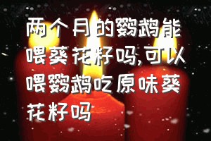 两个月的鹦鹉能喂葵花籽吗（可以喂鹦鹉吃原味葵花籽吗）