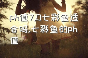 ph值7.0七彩鱼适合吗（七彩鱼的ph值）