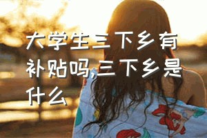 大学生三下乡有补贴吗（三下乡是什么）