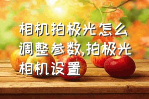 相机拍极光怎么调整参数（拍极光相机设置）