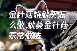 金针菇烧秋葵怎么做（秋葵金针菇家常做法）