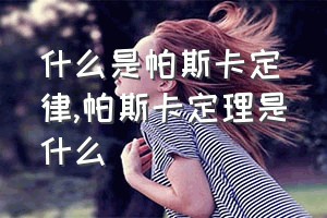 什么是帕斯卡定律（帕斯卡定理是什么）