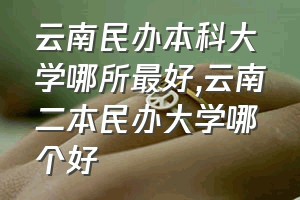 云南民办本科大学哪所最好（云南二本民办大学哪个好）