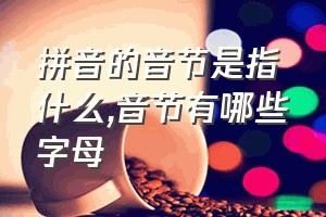 拼音的音节是指什么（音节有哪些字母）