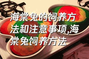 海棠兔的饲养方法和注意事项（海棠兔饲养方法）