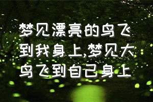 梦见漂亮的鸟飞到我身上（梦见大鸟飞到自己身上）