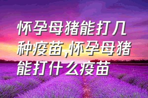 怀孕母猪能打几种疫苗（怀孕母猪能打什么疫苗）