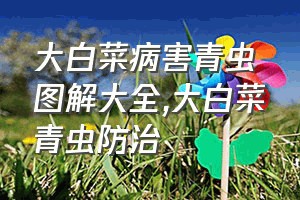 大白菜病害青虫图解大全（大白菜青虫防治）