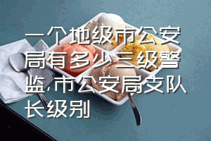 一个地级市公安局有多少三级警监（市公安局支队长级别）