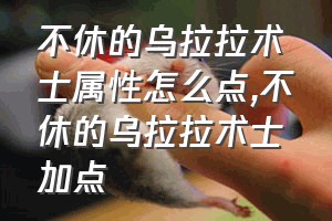 不休的乌拉拉术士属性怎么点（不休的乌拉拉术士加点）