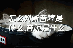 怎么判断音障是什么（音障是什么）