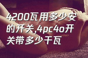 4200瓦用多少安的开关（4pc4o开关带多少干瓦）