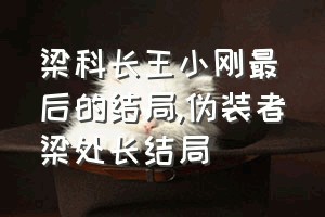 梁科长王小刚最后的结局（伪装者梁处长结局）