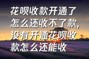 花呗收款开通了怎么还收不了款（没有开通花呗收款怎么还能收）