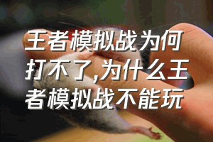 王者模拟战为何打不了（为什么王者模拟战不能玩）