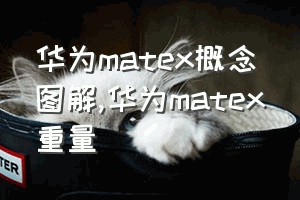 华为matex概念图解（华为matex重量）