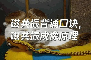 磁共振背诵口诀（磁共振成像原理）