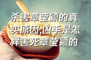 杀害章莹颖的真实原因（凶手是怎样害死章莹颖的）