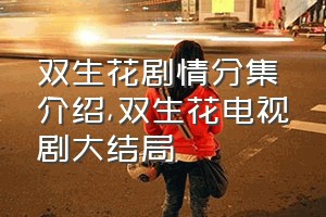 双生花剧情分集介绍（双生花电视剧大结局）