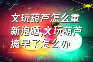 文玩葫芦怎么重新泡晒（文玩葫芦摘早了怎么办）