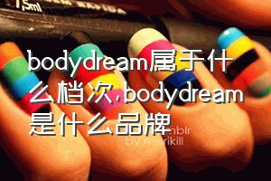 bodydream属于什么档次（bodydream是什么品牌）