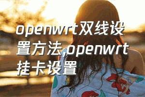 openwrt双线设置方法（openwrt挂卡设置）