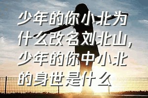 少年的你小北为什么改名刘北山（少年的你中小北的身世是什么）