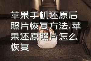 苹果手机还原后照片恢复方法（苹果还原照片怎么恢复）