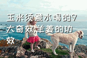 玉米须煮水喝的9大奇效（羊姜的功效）