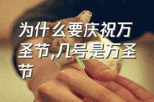 为什么要庆祝万圣节（几号是万圣节）