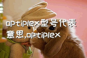 optiplex型号代表意思（optiplex）