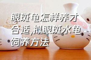 眼斑龟怎样养才合适（拟眼斑水龟饲养方法）