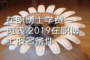 在职博士学费一览表（2019在职博士报名条件）