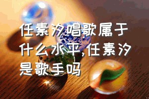 任素汐唱歌属于什么水平（任素汐是歌手吗）