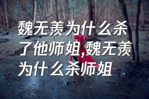 魏无羡为什么杀了他师姐（魏无羡为什么杀师姐）