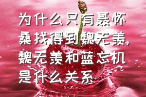 为什么只有聂怀桑找得到魏无羡（魏无羡和蓝忘机是什么关系）